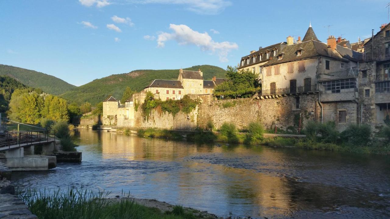 Chateau Ricard Saint-Geniez-dʼOlt Eksteriør bilde