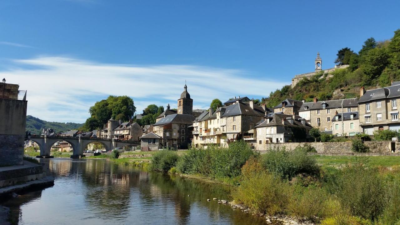 Chateau Ricard Saint-Geniez-dʼOlt Eksteriør bilde
