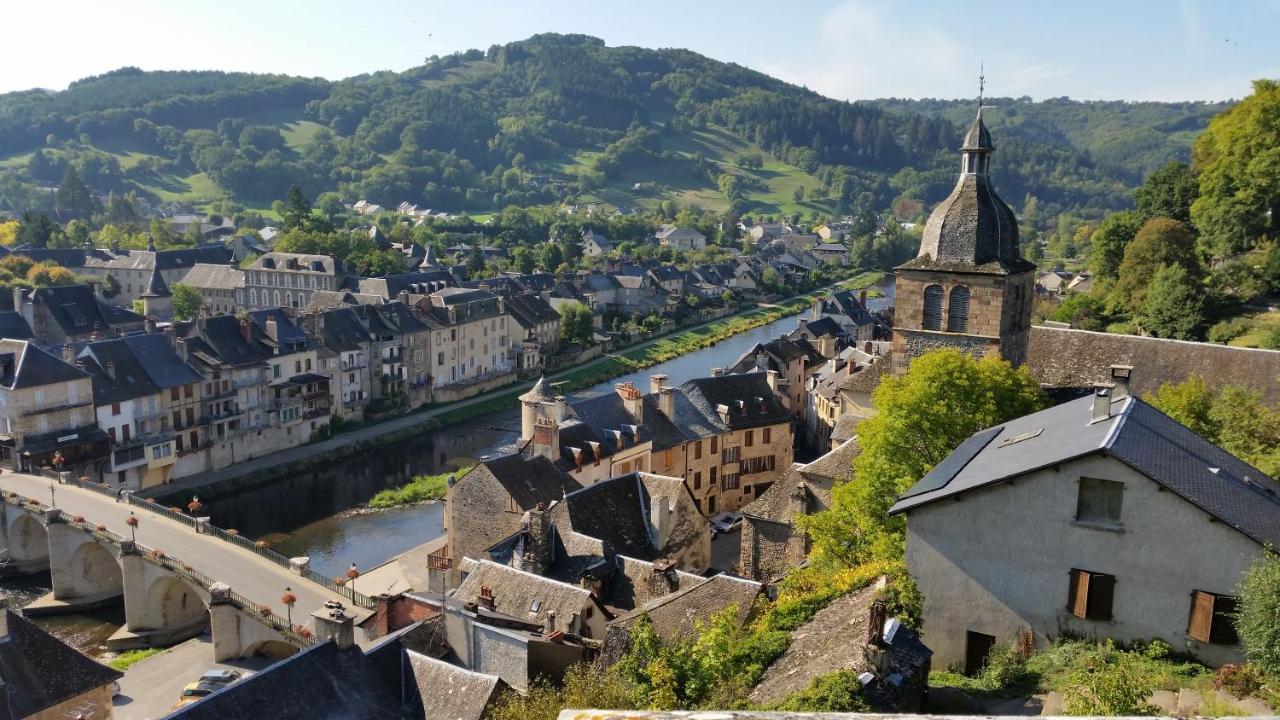 Chateau Ricard Saint-Geniez-dʼOlt Eksteriør bilde